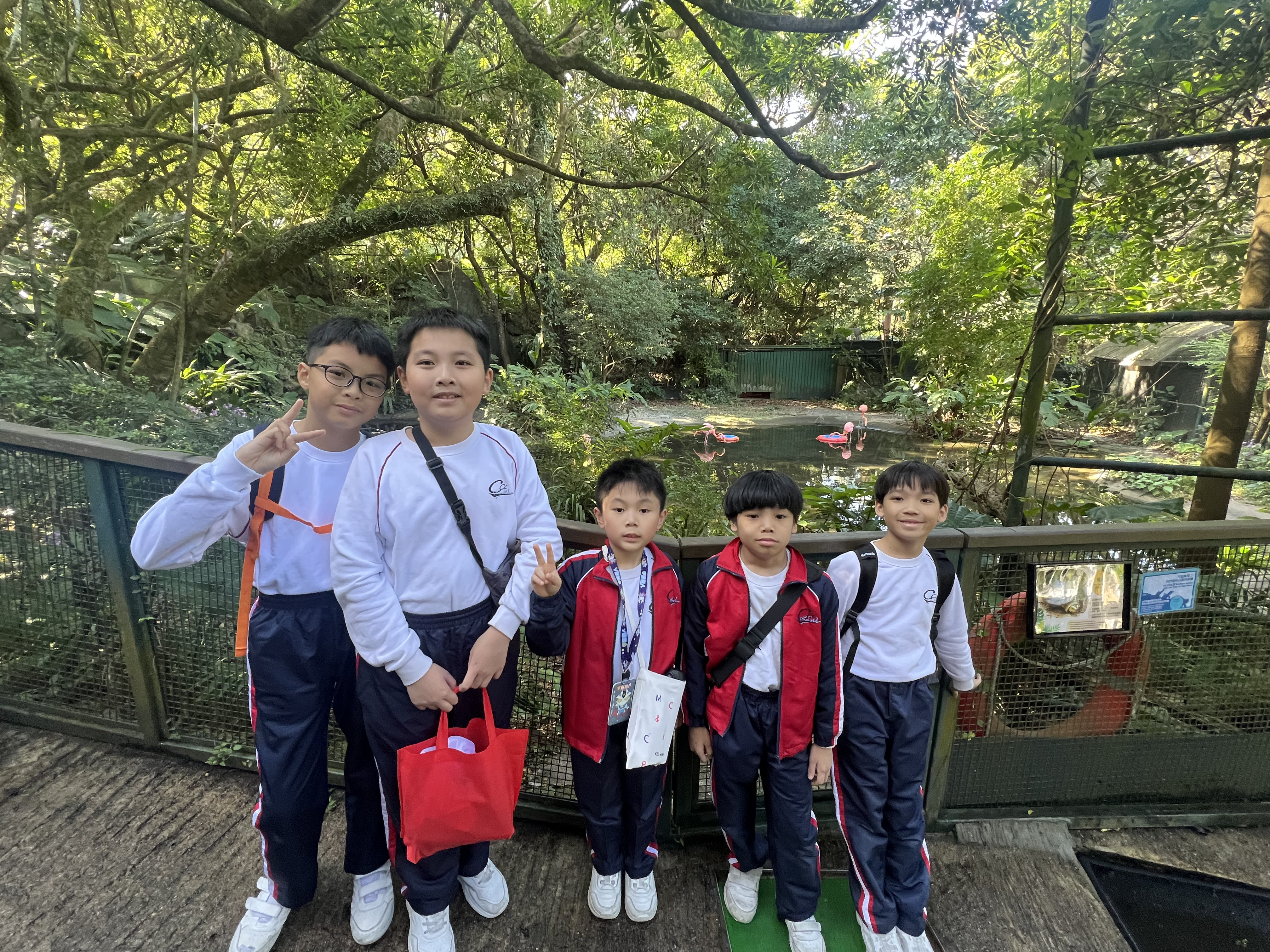 環保大使參觀嘉道理農場 | 中華基督教會基灣小學