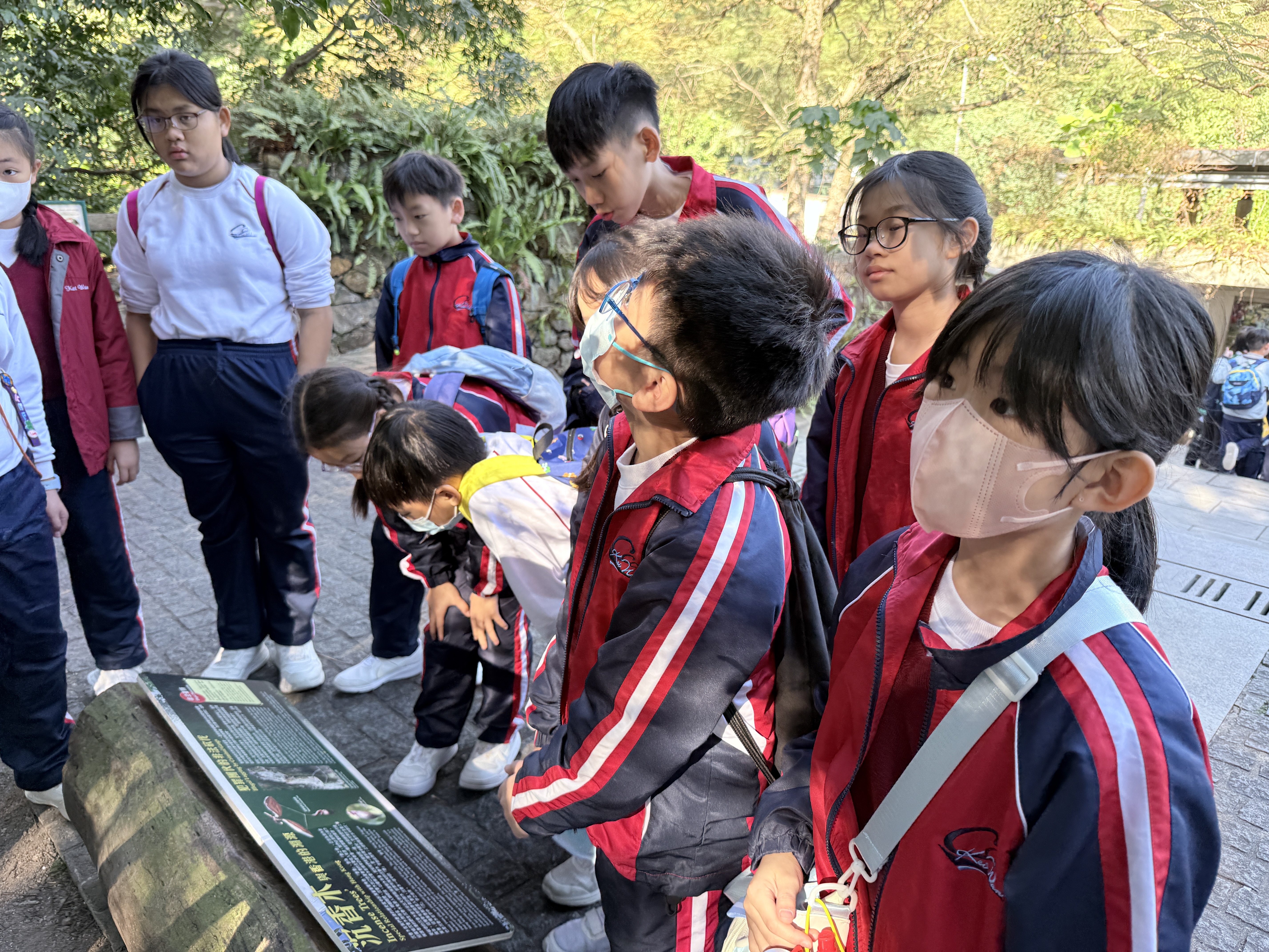 環保大使參觀嘉道理農場 | 中華基督教會基灣小學